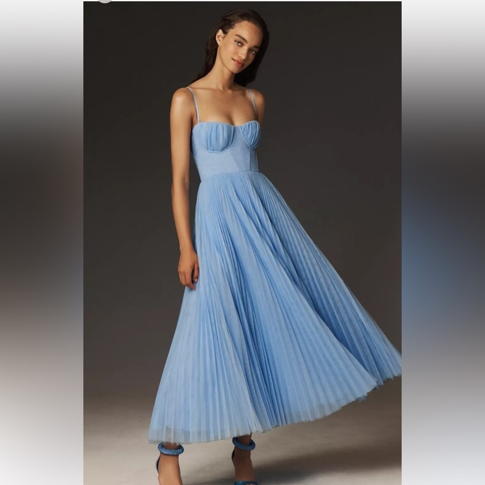 HUTCH AMARA BUSTIER PLEATED TULLE FIT & FLARE MIDI DRESS